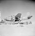 Boston Mk.III of 12 Sqn-1943