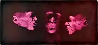 I dedicate my head to my friend Míla (1966–67)