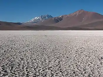 Llullaillaco from Salar de Aguas Calientes IV