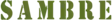 Computer simulation of Battle Honour