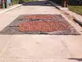 Drying cacao in the main street