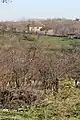 Gola Glava - panorama