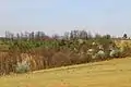 Lukavac - panorama