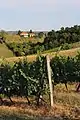 Miličinica - Panorama