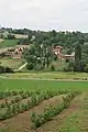 Petnica - panorama