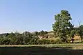 Virovac - Panorama