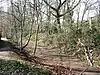 Sherrardspark Wood