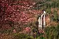 Siri Phum Waterfall in Doi Inthanon National Park