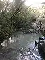 A small pond in the national park.