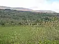 South-eastern flanks of Sliabh an Iarainn