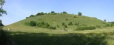 From the south
