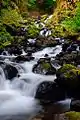 Starvation Creek Cascade