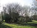 South east corner of Sunny Hill Park