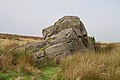 The Kid Stone