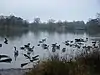 Hatfield Forest