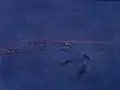 Battleships in the Forth, 1914