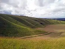 Whitehorse Hill