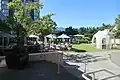 Outdoor garden
