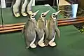 Ornament of pottery in around 1920 of Danish Royal Copenhagen which was modeled on the penguin put in the room