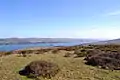 Tomales Bay