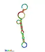 tp2: Secondary structure taken from the Rfam database. Family RF02030