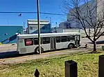 White bus next to a tree and a telephone pole