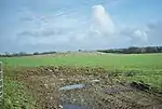 Bowl barrow 100&nbsp;m north east of Home Farm Cottage