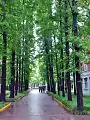 Zhan'en Avenue