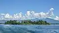 westerly view of Ufenau island as seen from ZSG ship MS Helvetia