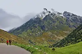 Manegor