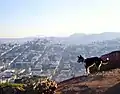 View from the hill