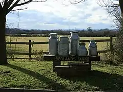 Variety of types