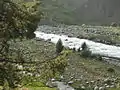 A stream flowing through the Hirpora Wildlife Sanctuary.