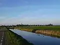 Village view