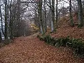 A path inside Knock Mary