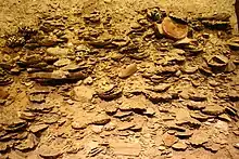 Photo of the Yorktown Formation, known for its fossils, and studied by Schmidt in graduate school