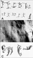 Rock art from other sites from comparison. 'c' is located ca. 1500&nbsp;km from L.Santo.